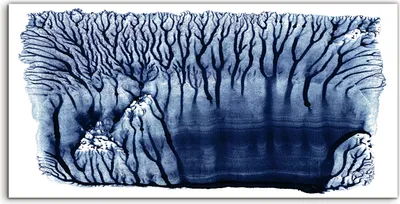 Produktbild von Coloray Canvas 140x70  Wandbild Leinwand Bilder Abstraktes Aquarell Malerei Bäume