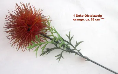 Produktbild von 1 Deko-Distelzweig orange ca. 63 cm