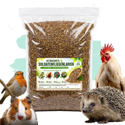 Soldatenfliegenlarven 5kg | Wildvogelfutter