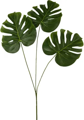 Image de Feuille de monstera Branche artificielle Feuille décorative - 1 pièce 71 cm vert
