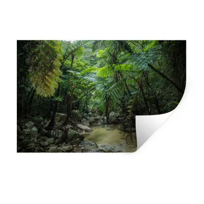 Obrázok produktu pre MuchoWow® Nálepka na stenu - Rieka v tropickej džungli - 90x60cm - Samolepiaca a polohovateľná