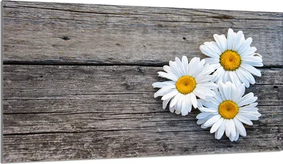 Produktbild von Glasschutzplatte für den Herd 90x52 Daisy