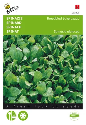 Produktbild von Spinat Breedblad Scherpzaad | Spinatsamen von Buzzy Seeds