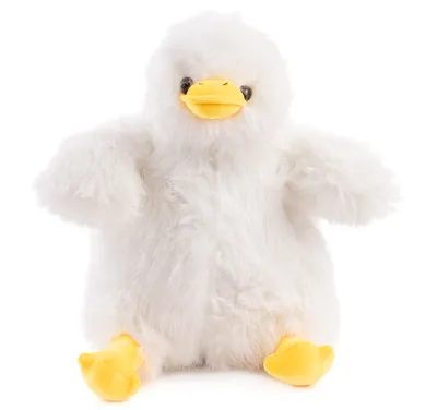A white plush duck toy is sitting on a white background.