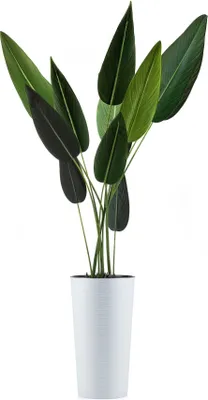 Immagine prodotto di HowHomely | Fioriera - Urbanika Riflo - 46 cm - Bianco - Resistente al gelo - Design moderno