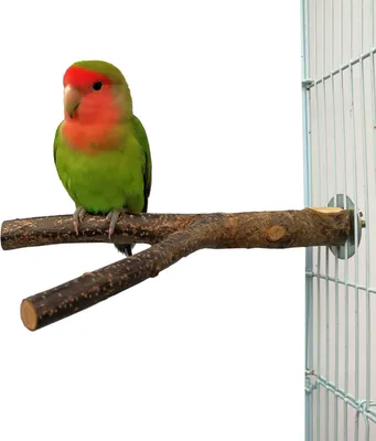 Produktbild von Vogelspielzeug, hängendes papageienspielzeug, Aststützen, Vogelkäfigzubehör