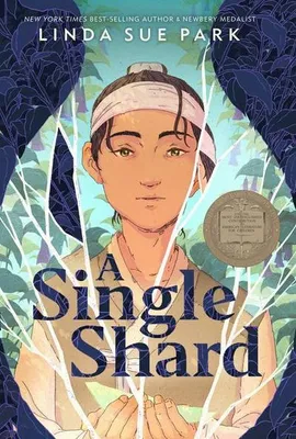Productafbeelding van A Single Shard