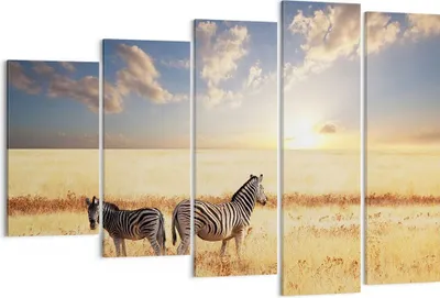Produktbild von Bild auf Leinwand - Leinwandbild - Zebra tier gestreift savanne - 150x100cm - Wand Bild - Wanddeko - Leinwanddruck - Bilder - Kunstdruck - Wanddekoration - Leinwand bilder - Wandkunst - EG150x100-2596