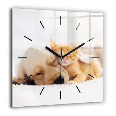 Produktbild von Wallfluent Große Wanduhr – Stilles Quarzuhrwerk - Uhr Dekoration Wohnzimmer Schlafzimmer Küche - Zifferblatt mit Striche - schwarze Zeiger - 60x60 cm - Schlafende Katze und Hund