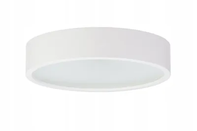 A white, round ceiling lamp is shown against a white background.