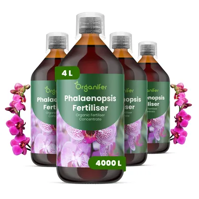 Produktbild von Phalaenopsis Flüssigdünger 4x1L – 3-4-3 NPK – Flüssig-Pflanzendünger für Orchideen – Organifer