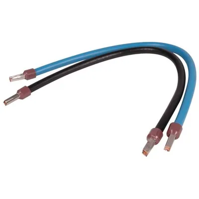 Immagine prodotto di DEBFLEX 2 cavi da 30 cm, 10 mm² con terminale