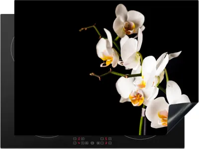 Produktbild von KitchenYeah© Herdabdeckplatte Orchidee - Blumen - Pflanzen - Botanisch , 70x52cm, Küche Deko, Glaskeramikkochfeld Herdabdeckung, Abdeckplatte fùr Kochfeld