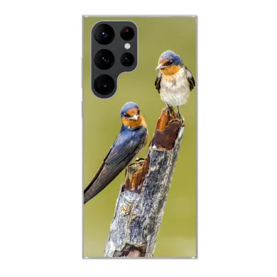 Produktbild von MuchoWow® Handyhülle Schutzhülle Hülle für Samsung Galaxy S22 Ultra Vögel - Zweig - Porträt Silikon Softcase Handy Hülle - Abbildung