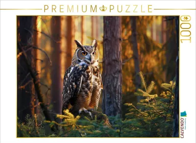 Produktbild von CALVENDO Puzzle Ruhepause | 1000 Teile Lege-Größe 64x48cm Foto-Puzzle für glückliche Stunden