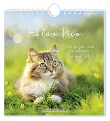 Image de Calendrier de cartes postales 2027 « Sur la pointe des pattes »