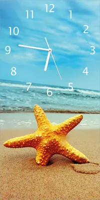 Produktbild von Wallario Design Wanduhr bedruckt, Größe 30 x 60 cm, Motiv: Seestern am Strand am Meer