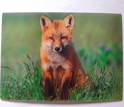 Produktbild von 3 D Ansichtskarte Fuchs, Postkarte Wackelkarte Hologrammkarte, Tier Füchse