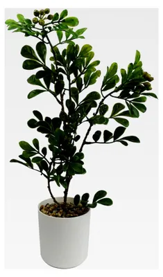 Produktbild von Künstlicher Bonsai-Baum