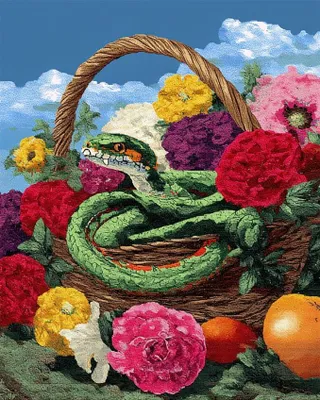 Imagen del producto de Kit de agujas de ganchillo para tejer, incluye cesta con diseño de serpientes y flores, de 53 x 74 cm