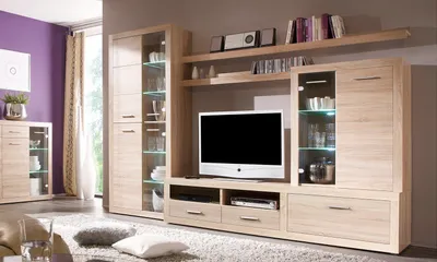 A living room scene featuring a modern entertainment center with a television, shelves, and cabinets.