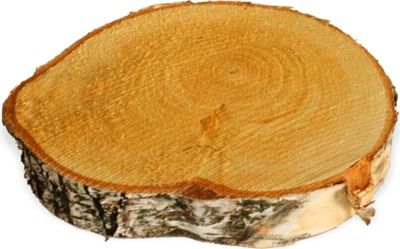 Baumscheiben 1 Stk. Dekoholz Holzscheibe Holzplatte 15 - 20 cm