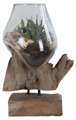 Zdjęcie produktu dla Terrario San Marino w kształcie kropli ze szkła na podstawie z korzenia tekowego 18x15xh25 cm