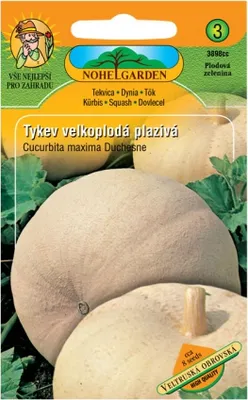 Zdjęcie produktu dla Wielkoowocowa tykwa pełzająca VELTRUSKÁ OBROVSKÁ