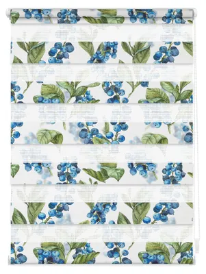 Produktbild von Lichtblick Doppelrollo blickdicht ohne Bohren Klemmbar, Anschraubbar Blau Grün 100 cm x 150 cm (B x L)