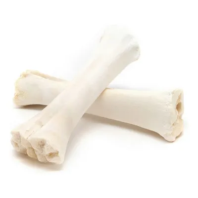 Obrázok produktu pre Psí snack Gloria Bone Calcium 20 kusov