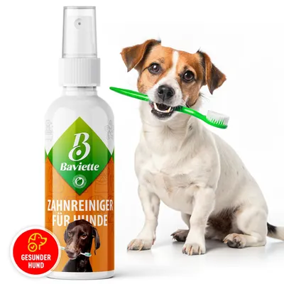 Produktbild von Baviette Zahnpflege Spray 100 ml – bürstenfreie Maulpflege für Hunde mit Mikroorganismen, geruchlos