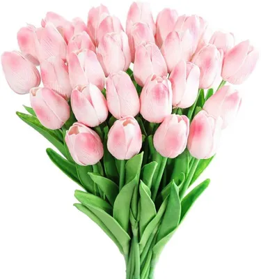 A bouquet of pink tulips with green leaves against a white background.