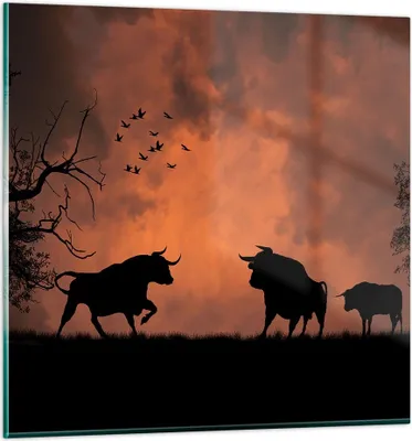 Produktbild von Bilder auf glas - Tier wütend Stier - 60x60cm - Glasbilder - Wandbilder - Kunstdruck - zum Aufhängen bereit - Wanddekoration aus Glas - Glas Bilder - Wandbild auf Glas - Einteilig - GAC60x60-0494