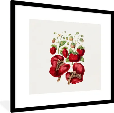 Produktbild von MuchoWow® Gerahmtes Poster Erdbeeren - Obst - Lebensmittel 40x40 cm - Poster mit Schwarzem Bilderrahmen Wandposter Rahmen Foto Bilder - Poster - Plakat im Rahmen