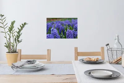 Produktbild von MuchoWow® - Wierderverwendbar - Selbstklebend