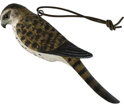 Imagen del producto de Jardín para la vida silvestre. Cucharilla. Merlin