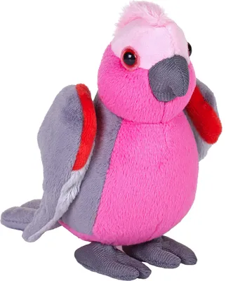 Immagine prodotto di Wild Republic - Peluche - Pocketkins Eco - Cacatua rosa