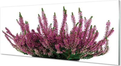 Produktbild von Glasbilder 125x50 Wandkunst heathers