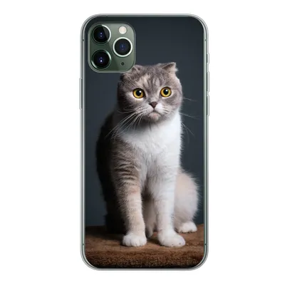 Produktbild von MuchoWow® Handyhülle Schutzhülle Hülle für iPhone 11 Pro Max Katze - Haustiere - Licht Silikon Softcase Handy Hülle - Schutz