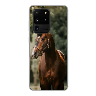 Produktbild von MuchoWow® Handyhülle Schutzhülle Hülle für Samsung Galaxy S20 Ultra Pferd - Äste - Porträt Silikon Softcase Handy Hülle - Karteninhaber