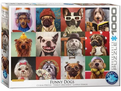 Produktbild von EUROGRAPHICS Puzzle Lustige Hunde 1000 Teile