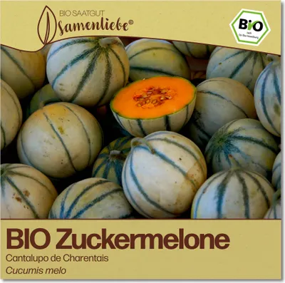 Produktbild von Cantaloupe-Melonen Samen Cantalupo de Charentais Gemüse-Samen Saatgut Cantaloupe-Melonensamen