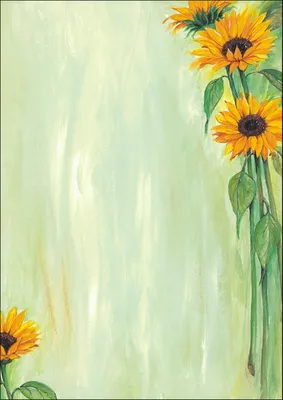Produktbild von Designpapier Sunflower A4 90g/qm VE=30x25 Blatt