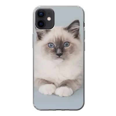 Produktbild von MuchoWow® Handyhülle Schutzhülle Hülle für iPhone 12 mini Katze - Ragdoll Katze - Blau - Mädchen - Kinder - Jungen - Kind Silikon Softcase Handy Hülle - Bild