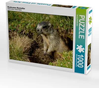 Produktbild von Calvendo Wachsames Murmeltier 1000 Teile Puzzle quer 640x480mm, Niederkofler Georg; 7353381