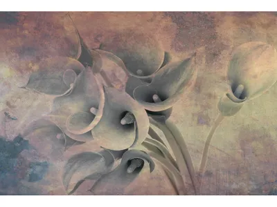 Zdjęcie produktu dla Fototapeta Dimex ART MS-5-0359 Kwiaty 375 x 250 cm