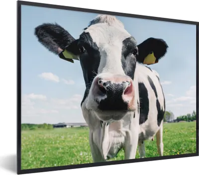 Produktbild von MuchoWow® Gerahmtes Poster Kuh - Wiese - Natur - Tiere - Gras 80x60 cm - Poster mit Schwarzem Bilderrahmen Wandposter Rahmen Foto Bilder - Schwarzem - Mit Gestell