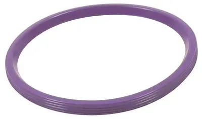 Immagine prodotto di Guarnizione a anello Blücher in FPM da 110 mm, piatta, per impianti di tubazioni, viola, 1 pz.