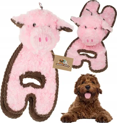 Produktbild von Hundespielzeug Schwein Maskottchen quietschend raschelnd groß 38cm PREMIUM