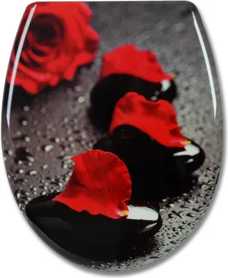 Close-up of red rose petals on black stones with water droplets.